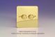 WFV2 Varilight Matrix 2-Gang Single Plate Unpopulated Dimmer Kit. Ultra Flat Polished Brass Coated Finish