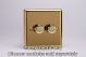 WV2 Varilight Matrix 2-Gang Single Plate Unpopulated Dimmer Kit. Classic Victorian Polished Brass Finish