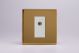 XDVG8ISOWS [XDVG1S + D8ISOW] Varilight 1 Gang White Isolated Co-axial TV Socket Screwless Polished Brass Coated