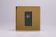 XDVG8SBS [XDVG1S + D8SB] Varilight 1 Gang Black Satellite TV Socket Screwless Polished Brass Coated